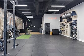 birch-and-iron-fitness 28