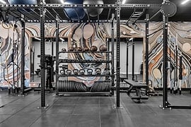 birch-and-iron-fitness 20
