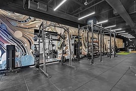 birch-and-iron-fitness 23