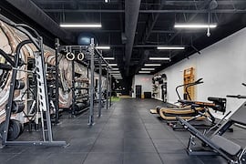 birch-and-iron-fitness 25