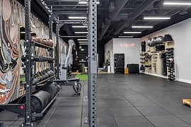 birch-and-iron-fitness 26